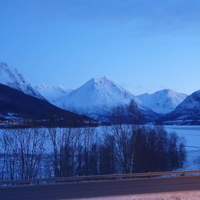 Ramfjord Apartment Tromsø Kültér fotó