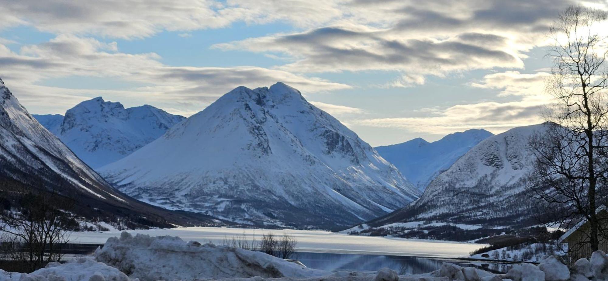 Ramfjord Apartment Tromsø Kültér fotó
